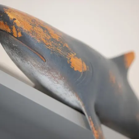 A Morze Apartman Pobierowo