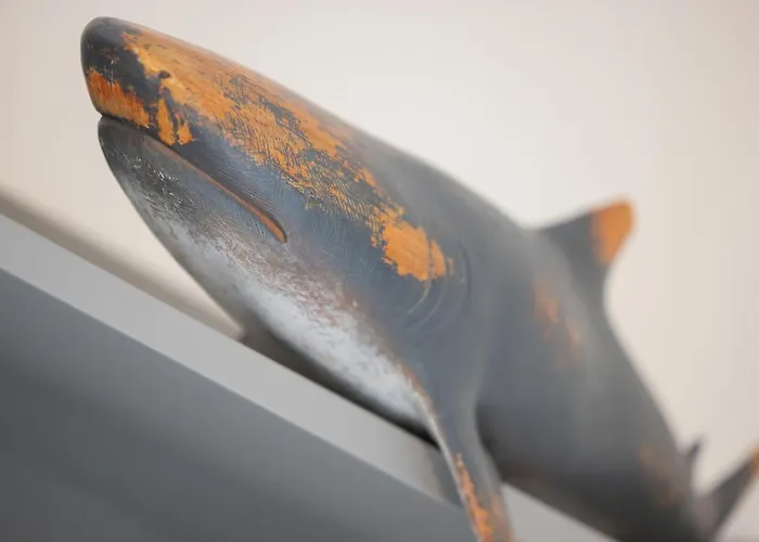 A Morze Appartement Pobierowo